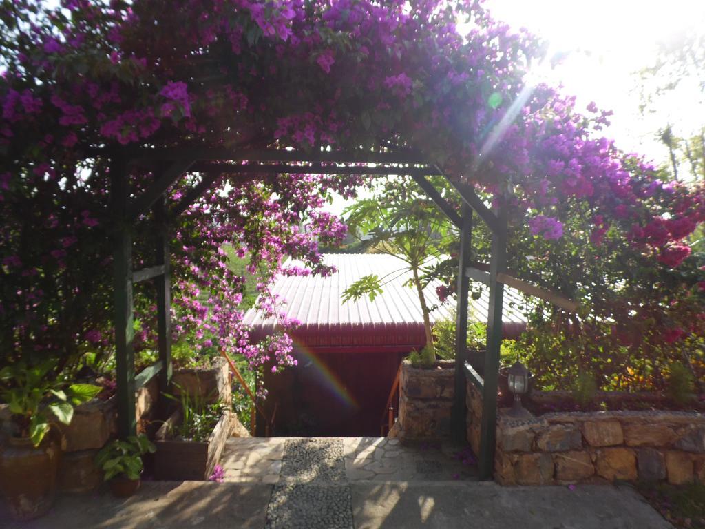 Aythaya Monte Divino Lodge Taunggyi Eksteriør bilde